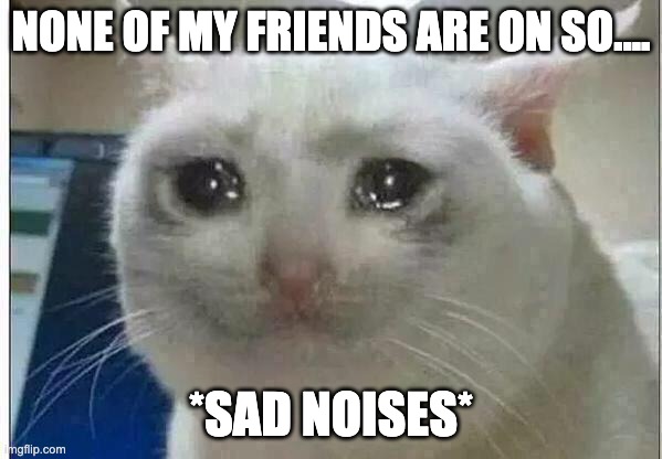 crying cat | NONE OF MY FRIENDS ARE ON SO.... *SAD NOISES* | image tagged in crying cat | made w/ Imgflip meme maker