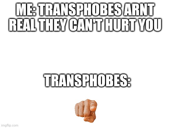 Blank White Template | ME: TRANSPHOBES ARNT REAL THEY CAN'T HURT YOU TRANSPHOBES: | image tagged in blank white template | made w/ Imgflip meme maker