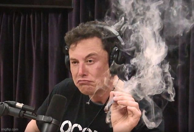 elonmuskweed | image tagged in elonmuskweed | made w/ Imgflip meme maker