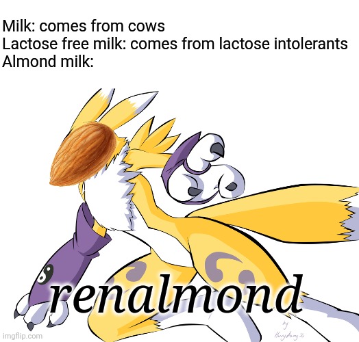 Teacher: what're u laughing at? My brain: | Milk: comes from cows
Lactose free milk: comes from lactose intolerants
Almond milk:; renalmond | image tagged in digimon,teacher what are you laughing at,renamon,almond,milk,cursed image | made w/ Imgflip meme maker