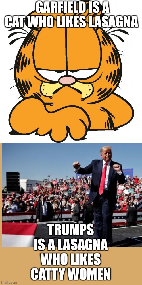 Garfield | GARFIELD IS A CAT WHO LIKES LASAGNA; TRUMPS IS A LASAGNA WHO LIKES CATTY WOMEN | image tagged in garfield | made w/ Imgflip meme maker