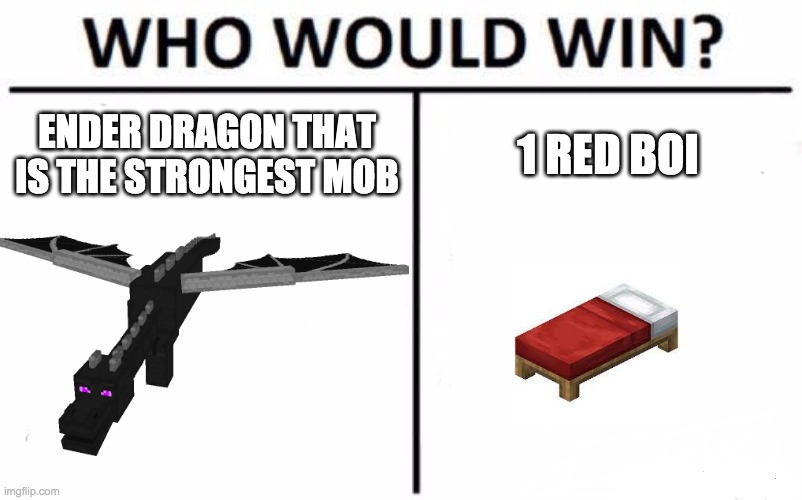 Who would win? | ENDER DRAGON THAT IS THE STRONGEST MOB; 1 RED BOI | image tagged in memes,who would win | made w/ Imgflip meme maker