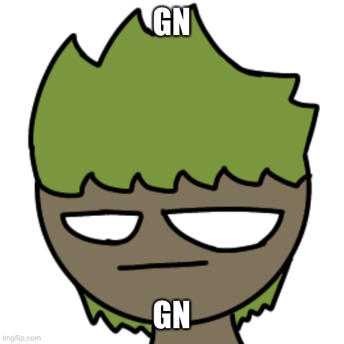 GN; GN | made w/ Imgflip meme maker