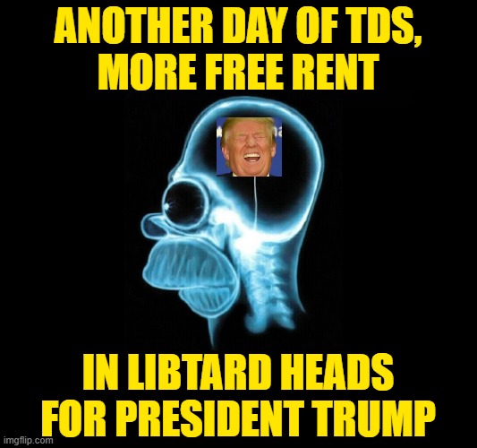 Post modern liberalism is an incurable mental disease. | ANOTHER DAY OF TDS,
MORE FREE RENT; IN LIBTARD HEADS
FOR PRESIDENT TRUMP | image tagged in trump,stds,libtards | made w/ Imgflip meme maker