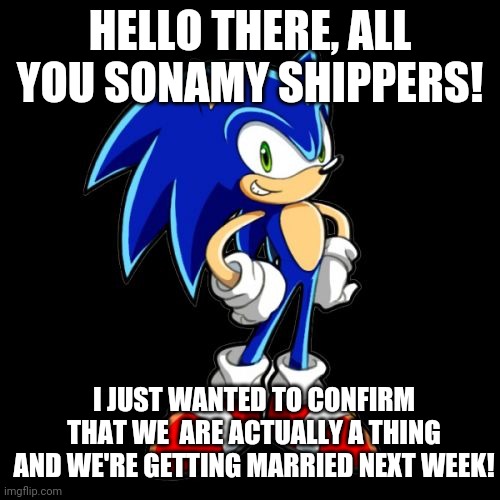 Sonic admits the truth |  HELLO THERE, ALL YOU SONAMY SHIPPERS! I JUST WANTED TO CONFIRM THAT WE  ARE ACTUALLY A THING AND WE'RE GETTING MARRIED NEXT WEEK! | image tagged in memes,you're too slow sonic | made w/ Imgflip meme maker