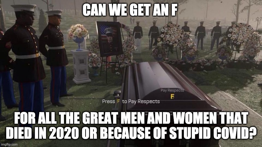 Plz f in the chat for all the great people that died | CAN WE GET AN F; FOR ALL THE GREAT MEN AND WOMEN THAT DIED IN 2020 OR BECAUSE OF STUPID COVID? | image tagged in press f to pay respects | made w/ Imgflip meme maker