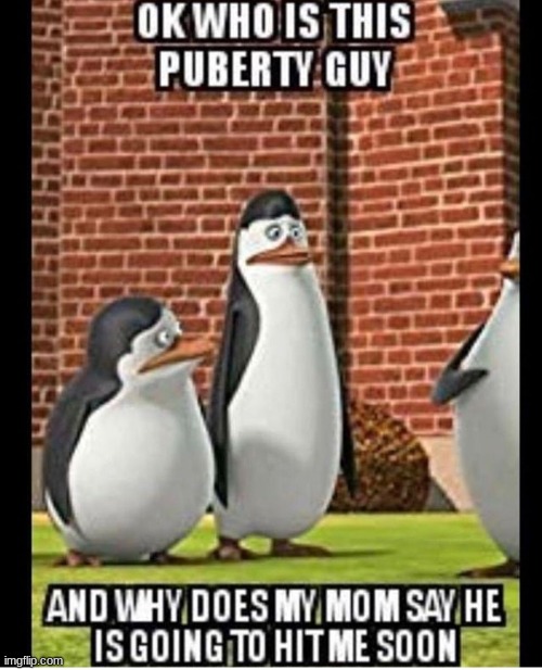 ? | image tagged in puberty | made w/ Imgflip meme maker