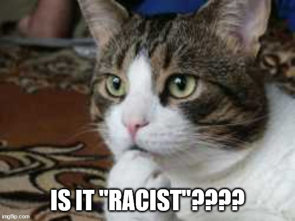 Ponder cat | IS IT "RACIST"???? | image tagged in ponder cat | made w/ Imgflip meme maker