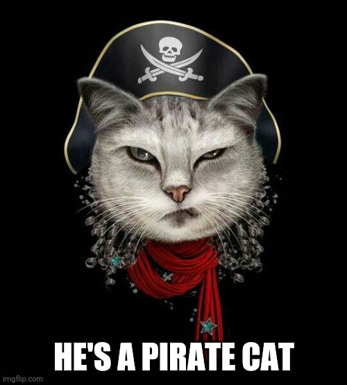 pirate chain cat ARRR | HE'S A PIRATE CAT | image tagged in pirate chain cat arrr | made w/ Imgflip meme maker
