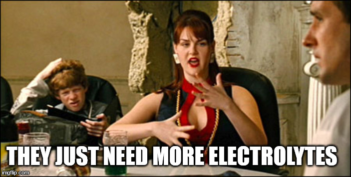 electrolytes | THEY JUST NEED MORE ELECTROLYTES | image tagged in electrolytes | made w/ Imgflip meme maker