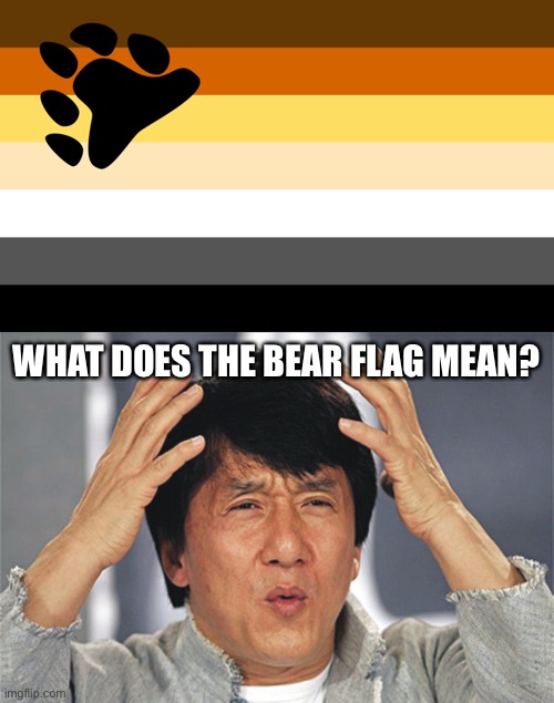 What does the bear flag mean?!? | WHAT DOES THE BEAR FLAG MEAN? | image tagged in jackie chan confused,bear | made w/ Imgflip meme maker