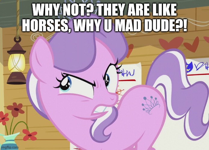 WHY NOT? THEY ARE LIKE HORSES, WHY U MAD DUDE?! | made w/ Imgflip meme maker