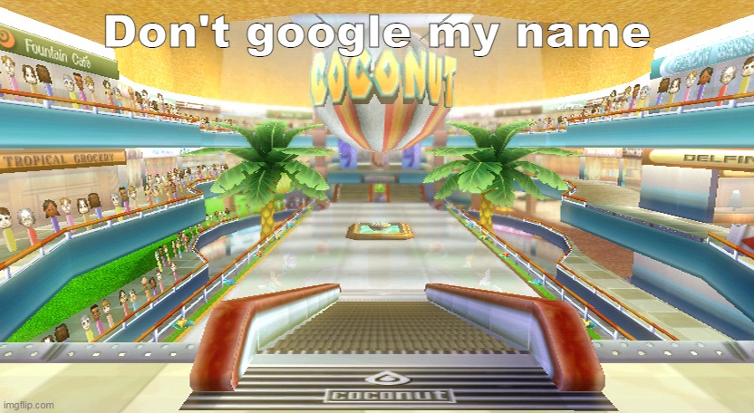 coconutmalled.com | Don't google my name | image tagged in coconut mall | made w/ Imgflip meme maker