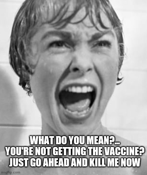 What?! | WHAT DO YOU MEAN?...
YOU'RE NOT GETTING THE VACCINE?
JUST GO AHEAD AND KILL ME NOW | image tagged in psycho,covid 19,vaccine,what,covid memes,horror movie | made w/ Imgflip meme maker