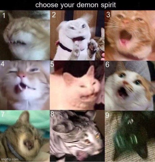 I pick 1 | made w/ Imgflip meme maker