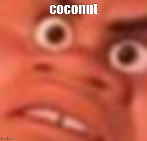 nut | coconut | image tagged in what the coconut | made w/ Imgflip meme maker