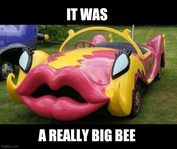 LOOKS LIKE SWOLLEN LIPS | IT WAS; A REALLY BIG BEE | image tagged in cars,strange cars | made w/ Imgflip meme maker