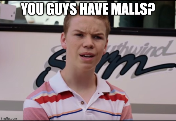 You guys have? | YOU GUYS HAVE MALLS? | image tagged in you guys have | made w/ Imgflip meme maker