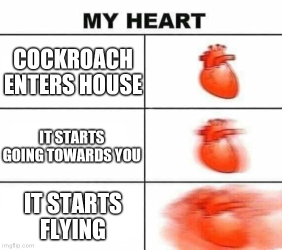 AAAAAAAAAAAAAAAAAAAAAAA | COCKROACH ENTERS HOUSE; IT STARTS GOING TOWARDS YOU; IT STARTS FLYING | image tagged in my heart blank,memes,cockroach,heart attack | made w/ Imgflip meme maker