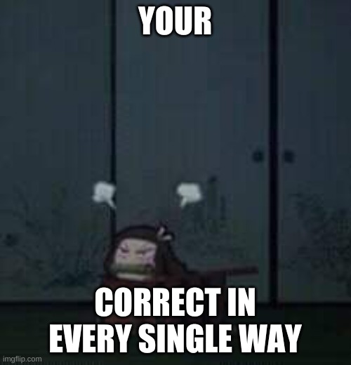 YOUR CORRECT IN EVERY SINGLE WAY | image tagged in demon slayer nezuko | made w/ Imgflip meme maker