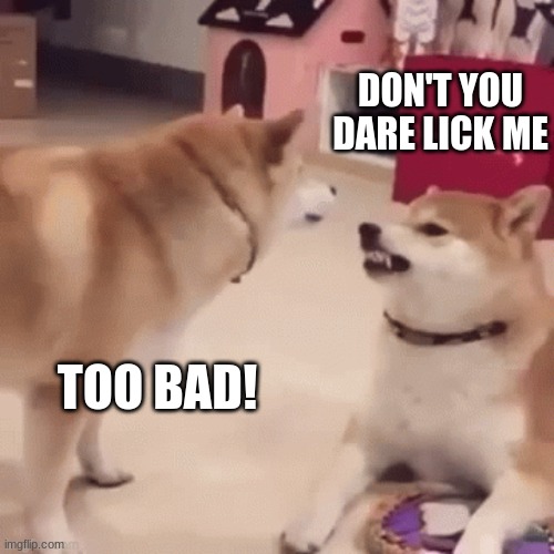 DON'T YOU DARE LICK ME; TOO BAD! | made w/ Imgflip meme maker