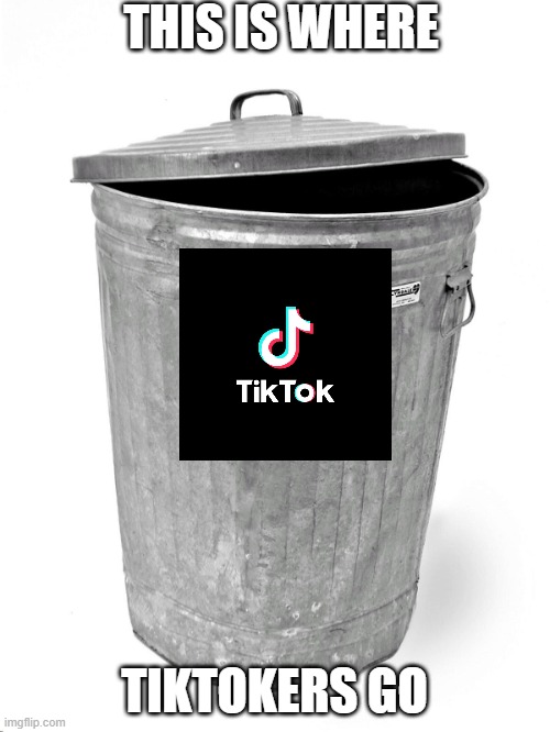 Trash Can | THIS IS WHERE TIKTOKERS GO | image tagged in trash can | made w/ Imgflip meme maker
