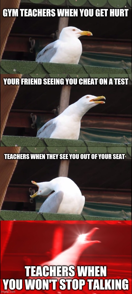 Inhaling Seagull | GYM TEACHERS WHEN YOU GET HURT; YOUR FRIEND SEEING YOU CHEAT ON A TEST; TEACHERS WHEN THEY SEE YOU OUT OF YOUR SEAT; TEACHERS WHEN YOU WON'T STOP TALKING | image tagged in memes,inhaling seagull | made w/ Imgflip meme maker