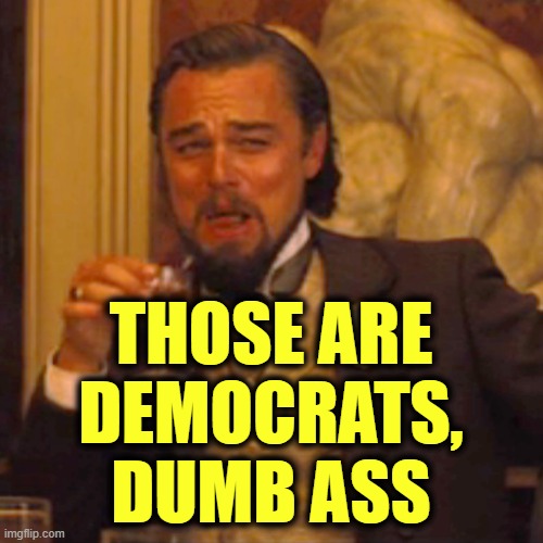 Laughing Leo Meme | THOSE ARE
DEMOCRATS,
DUMB ASS | image tagged in memes,laughing leo | made w/ Imgflip meme maker