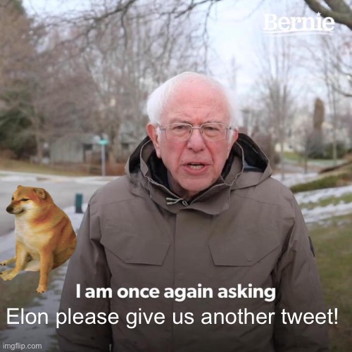 Bernie I Am Once Again Asking For Your Support Meme | Elon please give us another tweet! | image tagged in memes,bernie i am once again asking for your support | made w/ Imgflip meme maker