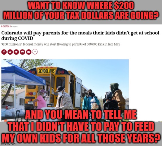 Mo' money! | WANT TO KNOW WHERE $200 MILLION OF YOUR TAX DOLLARS ARE GOING? AND YOU MEAN TO TELL ME THAT I DIDN'T HAVE TO PAY TO FEED MY OWN KIDS FOR ALL THOSE YEARS? | image tagged in government waste | made w/ Imgflip meme maker