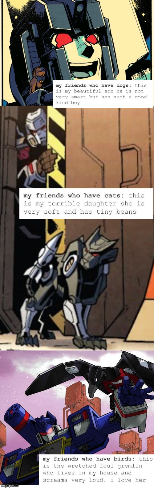 transformers pets | image tagged in pets,cat,transformers,comics,megatron,soundwave | made w/ Imgflip meme maker
