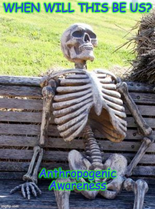 Waiting Skeleton Meme | WHEN WILL THIS BE US? Anthropogenic Awareness | image tagged in memes,waiting skeleton | made w/ Imgflip meme maker