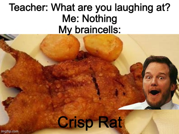 When you compare Chris Pratt with crisp rat | Teacher: What are you laughing at?
Me: Nothing
My braincells:; Crisp Rat | image tagged in blank white template,chris pratt,memes,funny | made w/ Imgflip meme maker