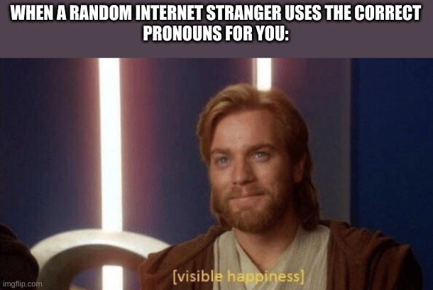 visible happiness | WHEN A RANDOM INTERNET STRANGER USES THE CORRECT
PRONOUNS FOR YOU: | image tagged in visible happiness,pronouns | made w/ Imgflip meme maker