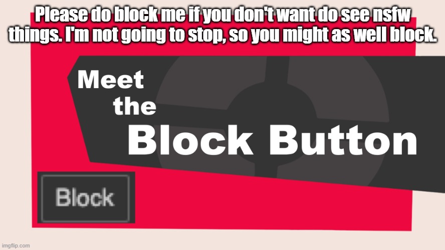 Dumbasses | Please do block me if you don't want do see nsfw things. I'm not going to stop, so you might as well block. | image tagged in meet the block button | made w/ Imgflip meme maker
