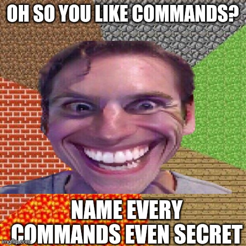 When minecraft is asking you you like commands | OH SO YOU LIKE COMMANDS? NAME EVERY COMMANDS EVEN SECRET | image tagged in funny | made w/ Imgflip meme maker
