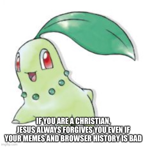 Chikorita | IF YOU ARE A CHRISTIAN, JESUS ALWAYS FORGIVES YOU EVEN IF YOUR MEMES AND BROWSER HISTORY IS BAD | image tagged in chikorita | made w/ Imgflip meme maker