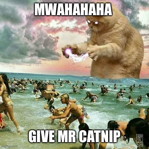 Catzilla | MWAHAHAHA; GIVE MR CATNIP | image tagged in catzilla,cat | made w/ Imgflip meme maker