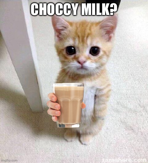 Cute Cat | CHOCCY MILK? | image tagged in memes,cute cat | made w/ Imgflip meme maker