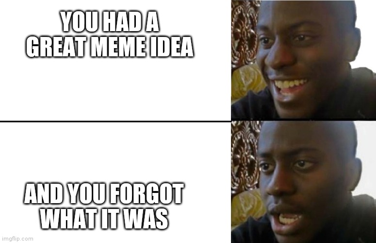 Oh. | YOU HAD A GREAT MEME IDEA; AND YOU FORGOT WHAT IT WAS | image tagged in realization | made w/ Imgflip meme maker