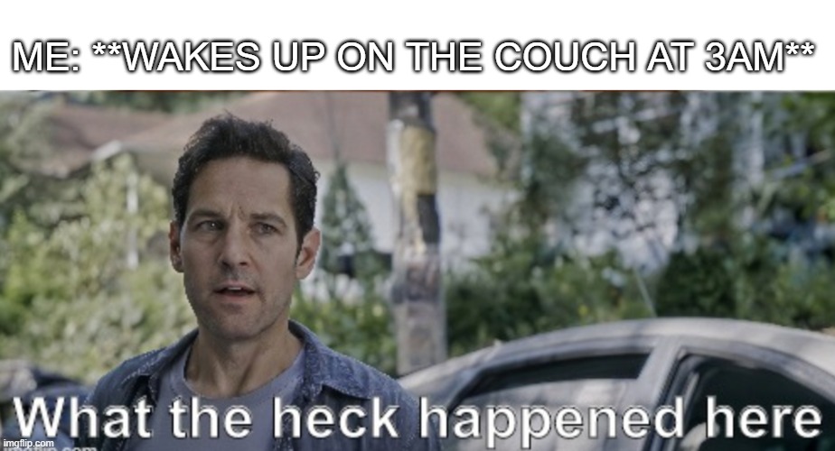 Crazy night | ME: **WAKES UP ON THE COUCH AT 3AM** | image tagged in antman what the heck happened here | made w/ Imgflip meme maker
