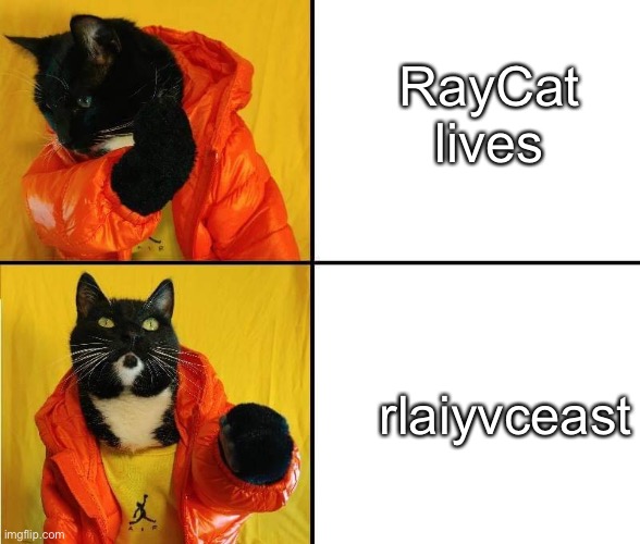 RayCat lives; rlaiyvceast | made w/ Imgflip meme maker