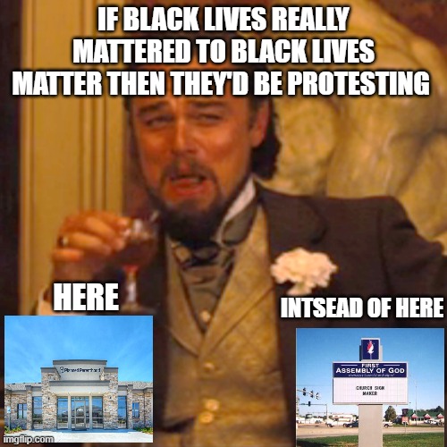 Laughing Leo | IF BLACK LIVES REALLY MATTERED TO BLACK LIVES MATTER THEN THEY'D BE PROTESTING; INTSEAD OF HERE; HERE | image tagged in memes,laughing leo | made w/ Imgflip meme maker