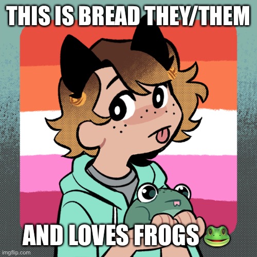 THIS IS BREAD THEY/THEM; AND LOVES FROGS 🐸 | made w/ Imgflip meme maker