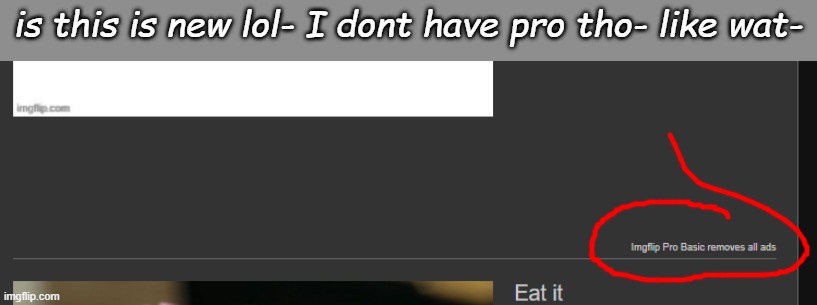 is this is new lol- I dont have pro tho- like wat- | made w/ Imgflip meme maker