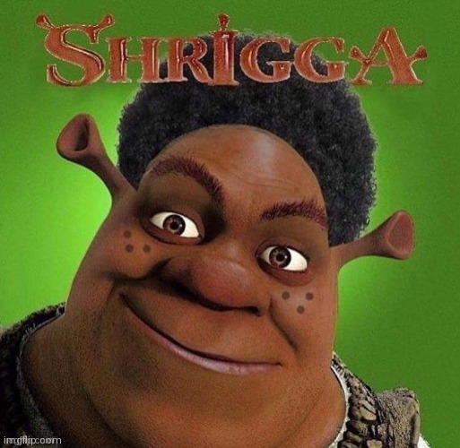 To the snowflakes who will say "oMg YoU'rE RaCisT yOu SaiD tHe N wOrd" I havent said it and I won't. | made w/ Imgflip meme maker
