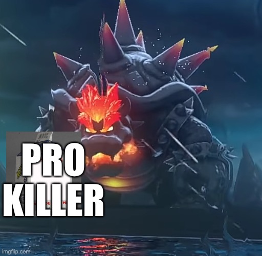 I’m so a fan of Mario | PRO KILLER | image tagged in bowsers fury | made w/ Imgflip meme maker