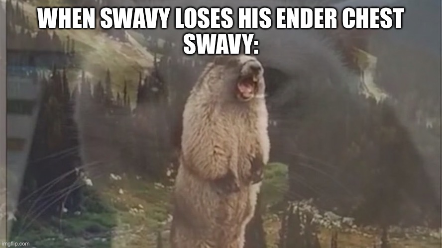 Hypixel Skyblock meme | WHEN SWAVY LOSES HIS ENDER CHEST
SWAVY: | image tagged in crying cat | made w/ Imgflip meme maker