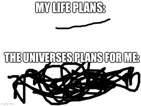 My life is gone! | MY LIFE PLANS:; THE UNIVERSES PLANS FOR ME: | image tagged in blank white template | made w/ Imgflip meme maker