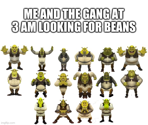 don't ask lol | ME AND THE GANG AT 3 AM LOOKING FOR BEANS | image tagged in memes,shrek,wtf | made w/ Imgflip meme maker